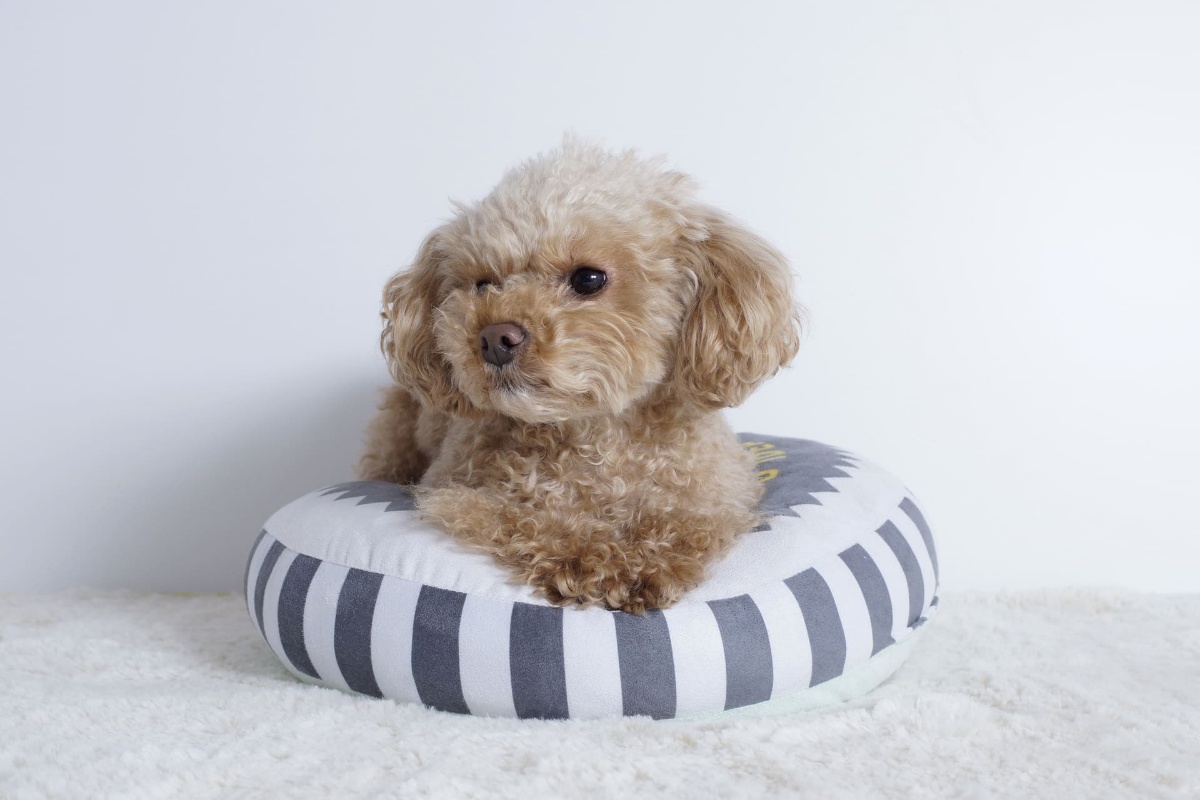 SEOコンテンツのH3見出し1